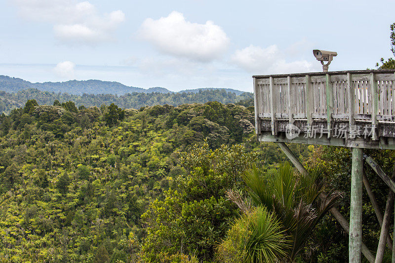 新西兰:Waitakere Ranges